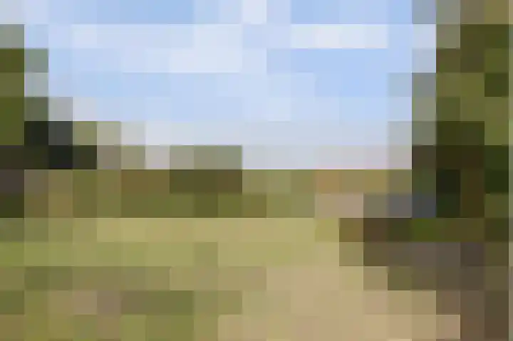 Drie Haasjes 21 Rilland thumbnail 27