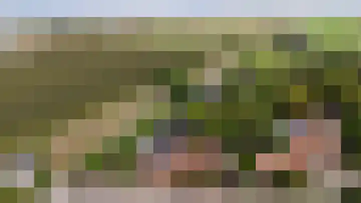 Drie Haasjes 21 Rilland foto 3