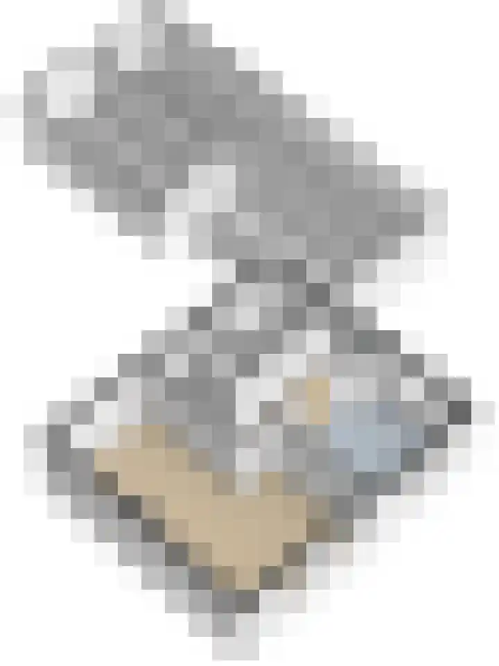 Drie Haasjes 21 Rilland thumbnail 35