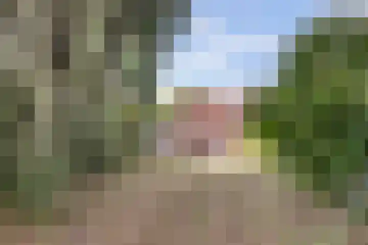 Drie Haasjes 21 Rilland thumbnail 4