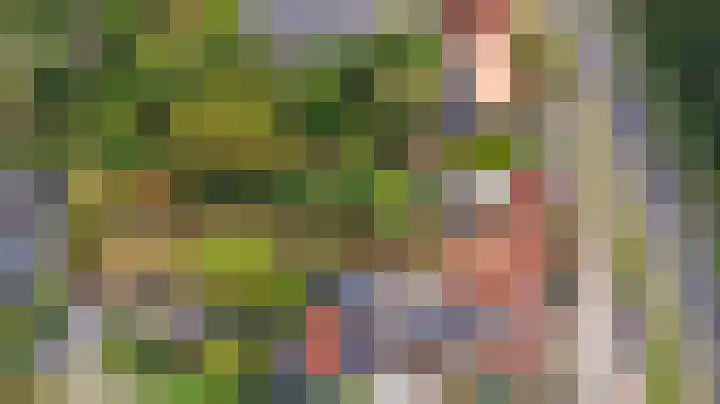 Drie Haasjes 21 Rilland thumbnail 5