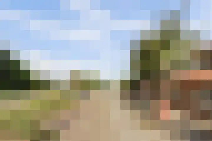 Drie Haasjes 21 Rilland thumbnail 6
