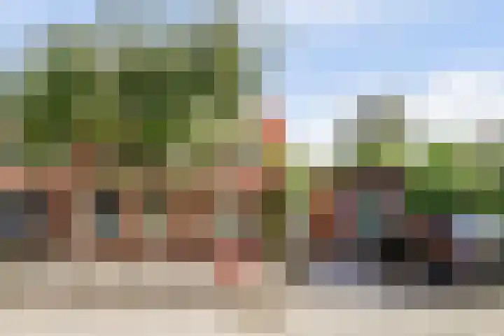 Drie Haasjes 21 Rilland thumbnail 7