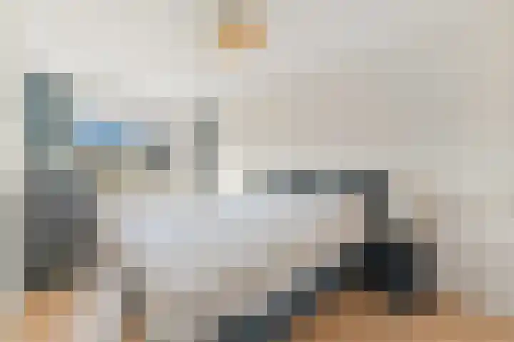 Drie Hoeven 27 Maasland thumbnail 19