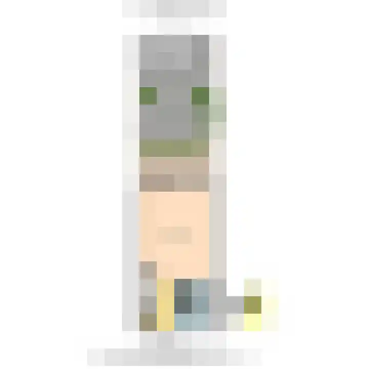 Drie Hoeven 27 Maasland thumbnail 40