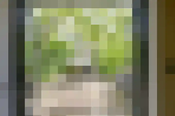 Driebergseweg 5 Zeist thumbnail 42