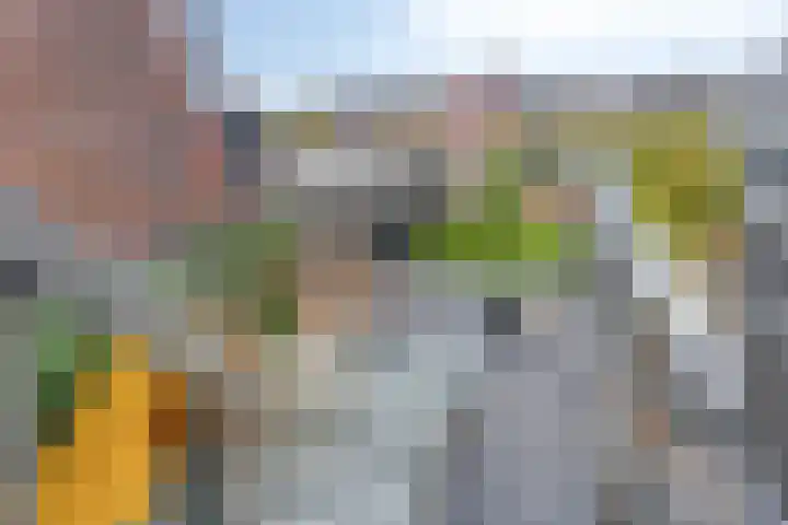 Drieboomlaan 47 Hoorn thumbnail 26