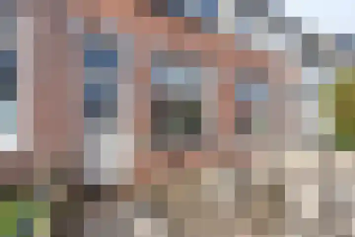 Drieboomlaan 47 Hoorn thumbnail 9