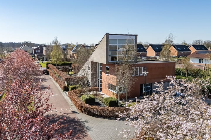 Driegraas 41 in Roden foto