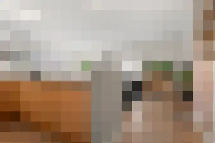 Driehoek 1 D Ede thumbnail 13
