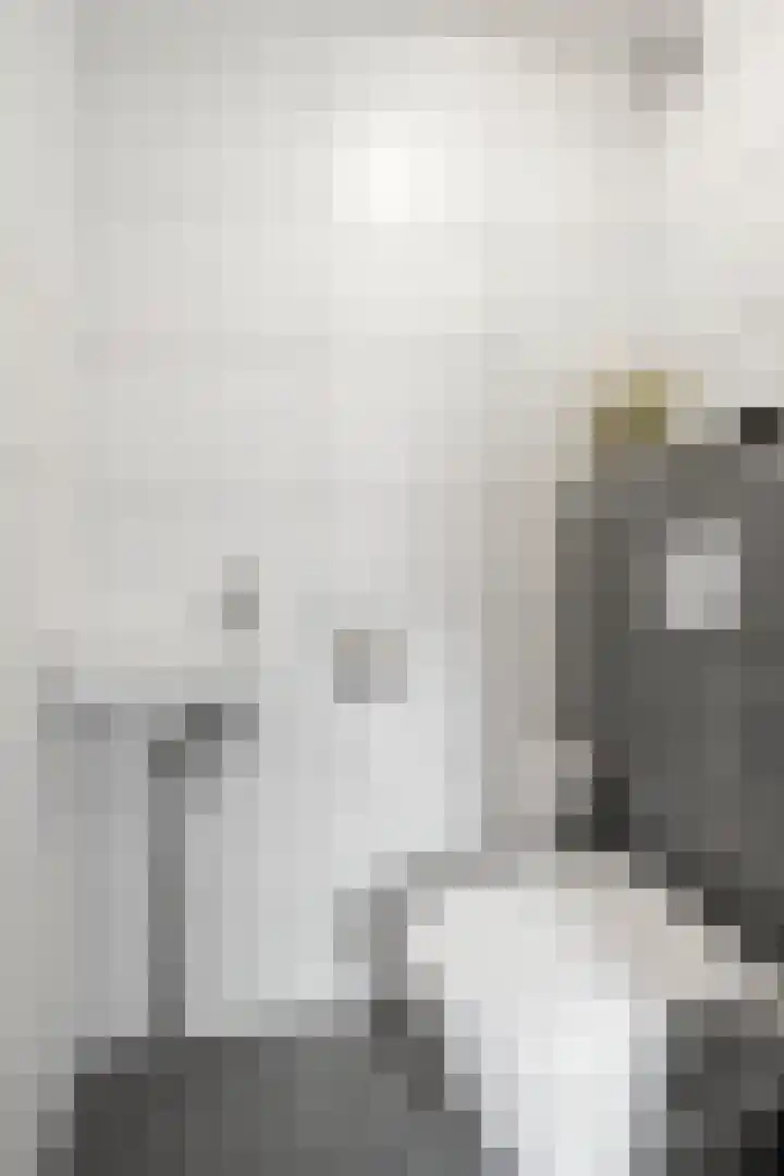 Driehoek 1 D Ede thumbnail 15