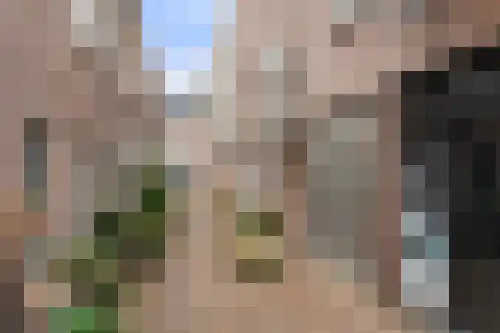 Driehoek 1 D Ede thumbnail 28