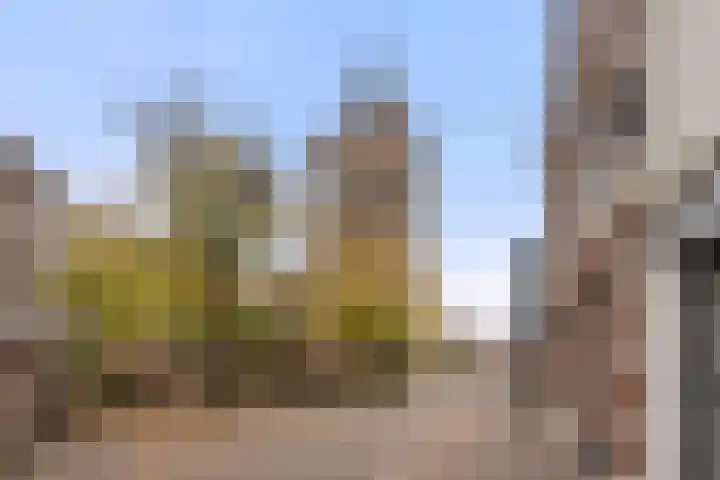 Driehoek 1 D Ede thumbnail 33