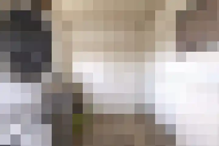 Driehoek 5 Oploo thumbnail 15