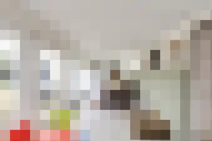 Driehoek 5 Oploo thumbnail 16