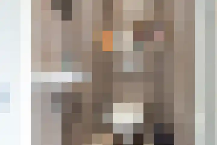 Driehoek 5 Oploo thumbnail 22