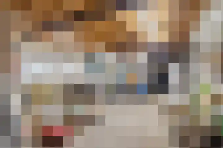 Driehoek 5 Oploo thumbnail 34