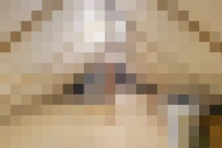 Driehoek 5 Oploo thumbnail 35