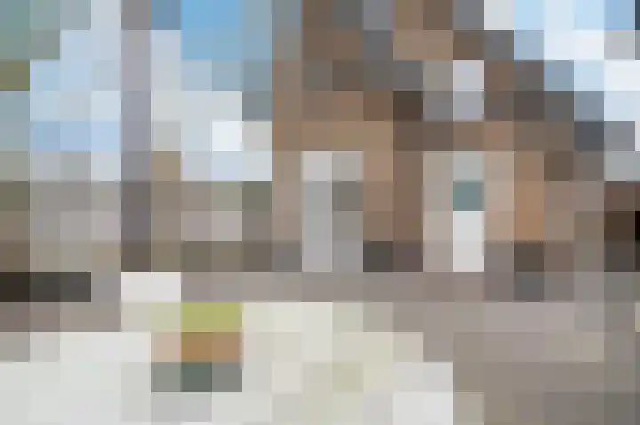 Driehuizerweg 85 Apeldoorn thumbnail 25