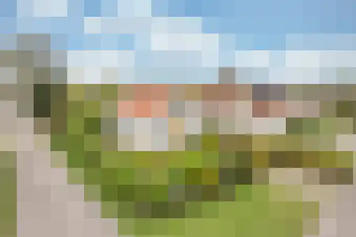 Drielse Rijndijk 3 Heteren thumbnail 10