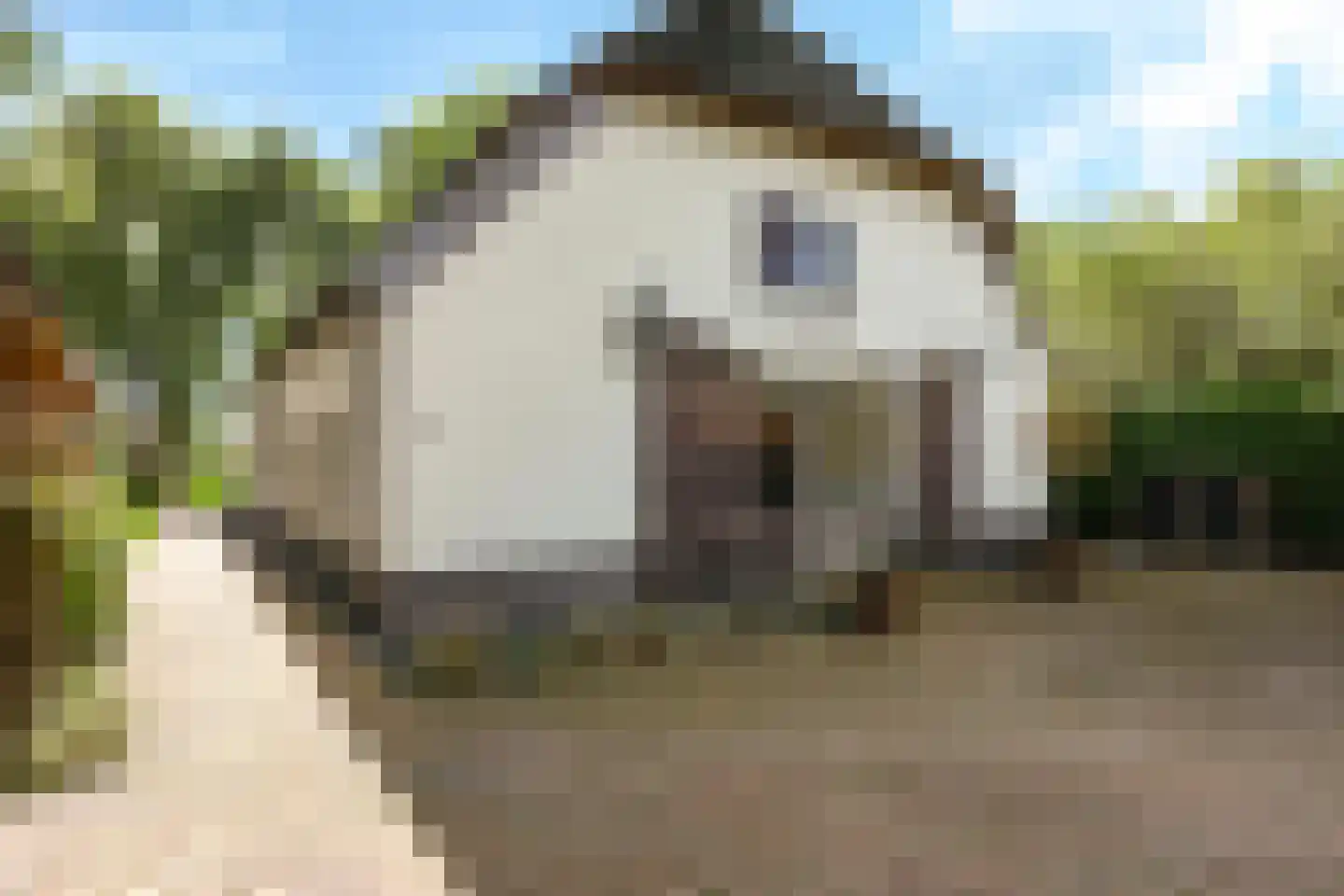 Drielse Rijndijk 3 Heteren thumbnail 104