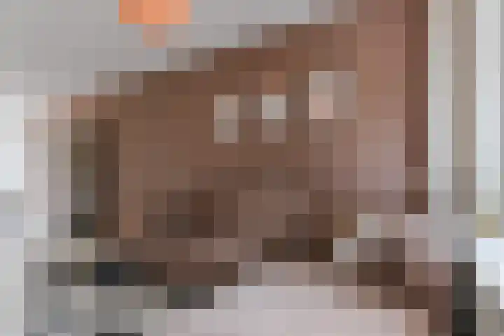 Drielse Rijndijk 3 Heteren thumbnail 111