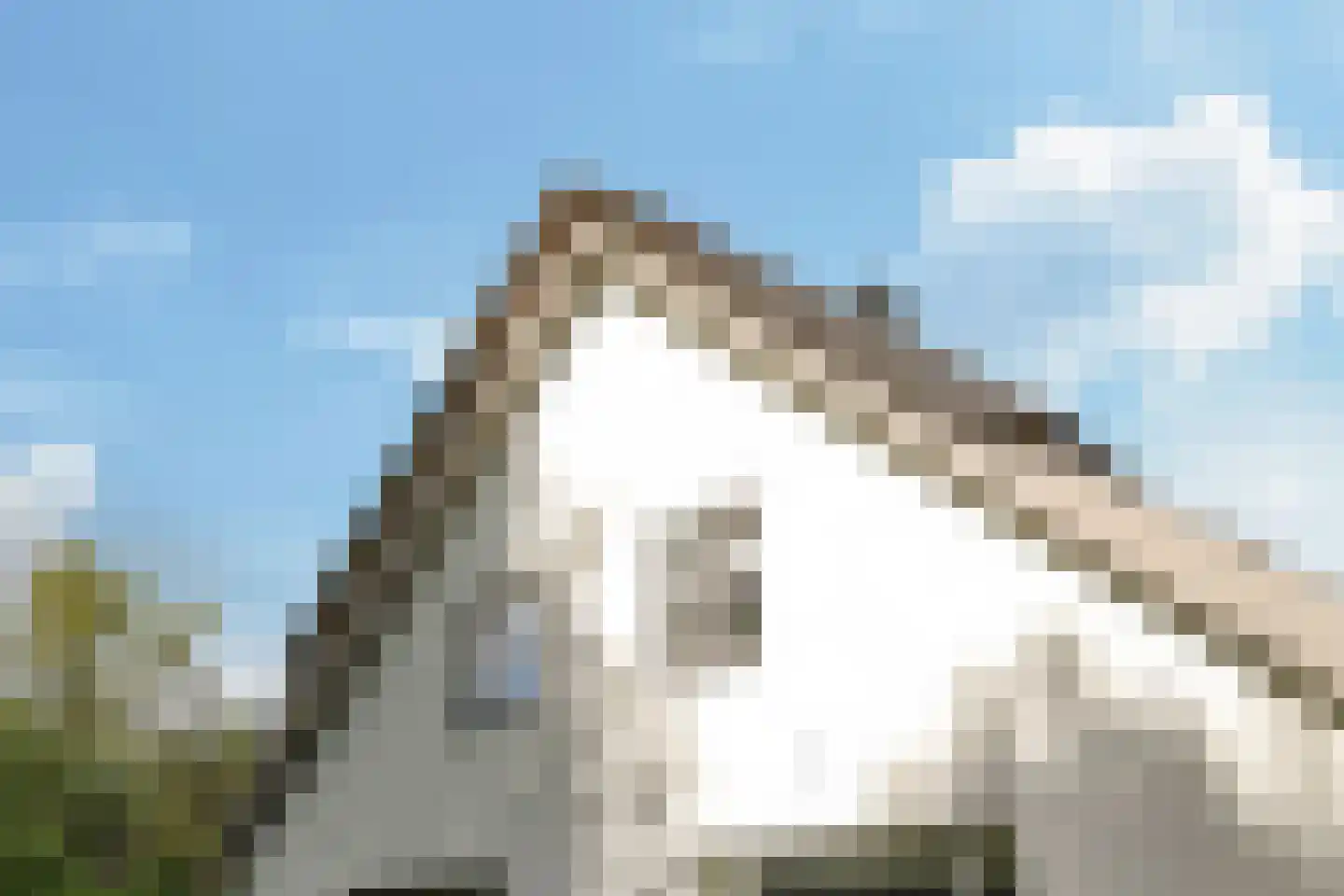 Drielse Rijndijk 3 Heteren thumbnail 111