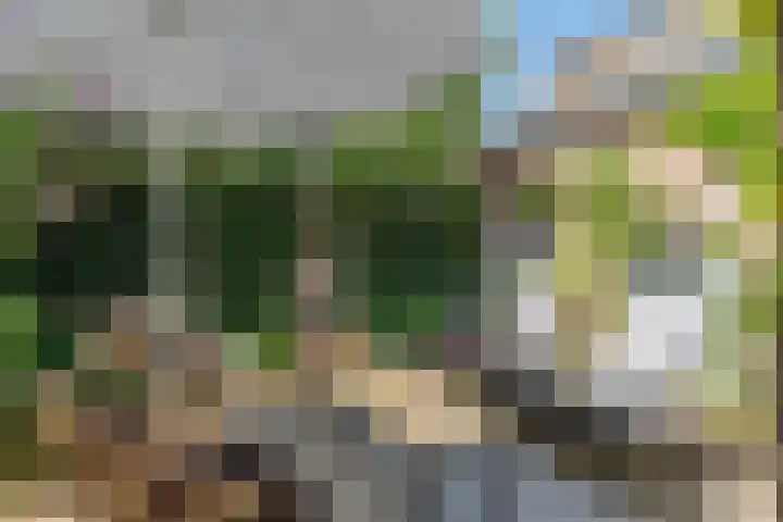 Drielse Rijndijk 3 Heteren thumbnail 114