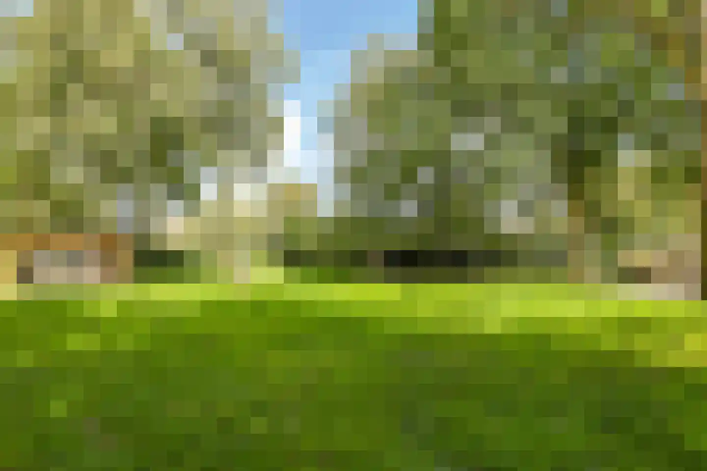 Drielse Rijndijk 3 Heteren thumbnail 115