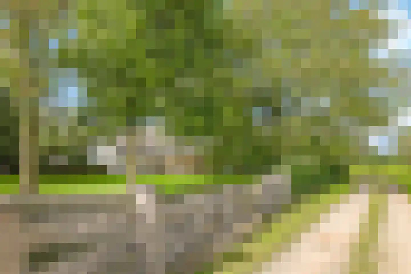 Drielse Rijndijk 3 Heteren thumbnail 117