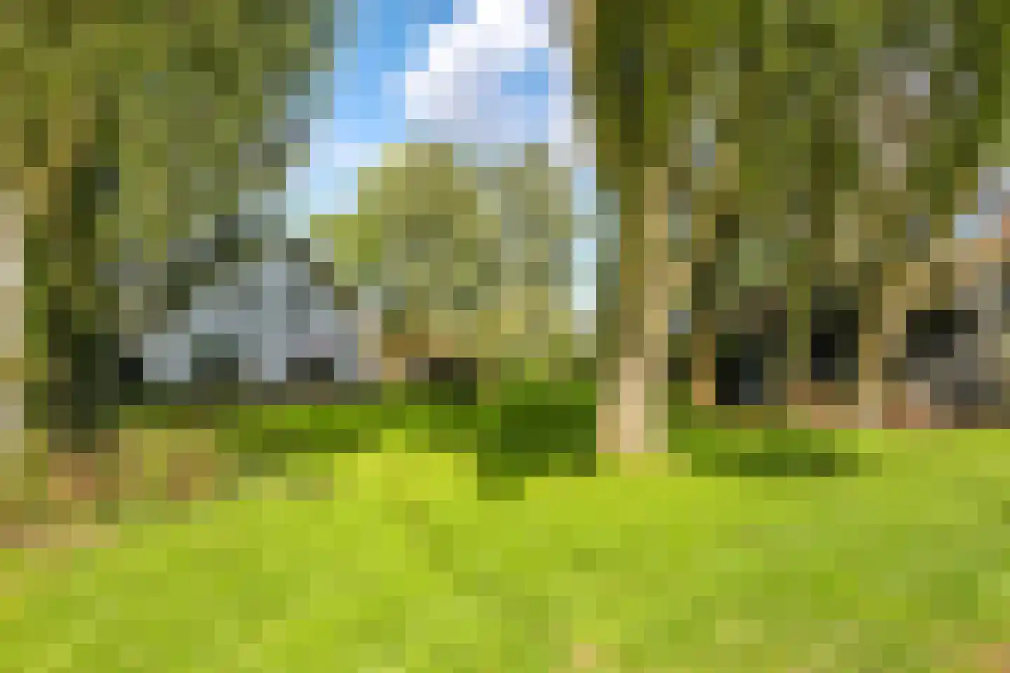 Drielse Rijndijk 3 Heteren thumbnail 12