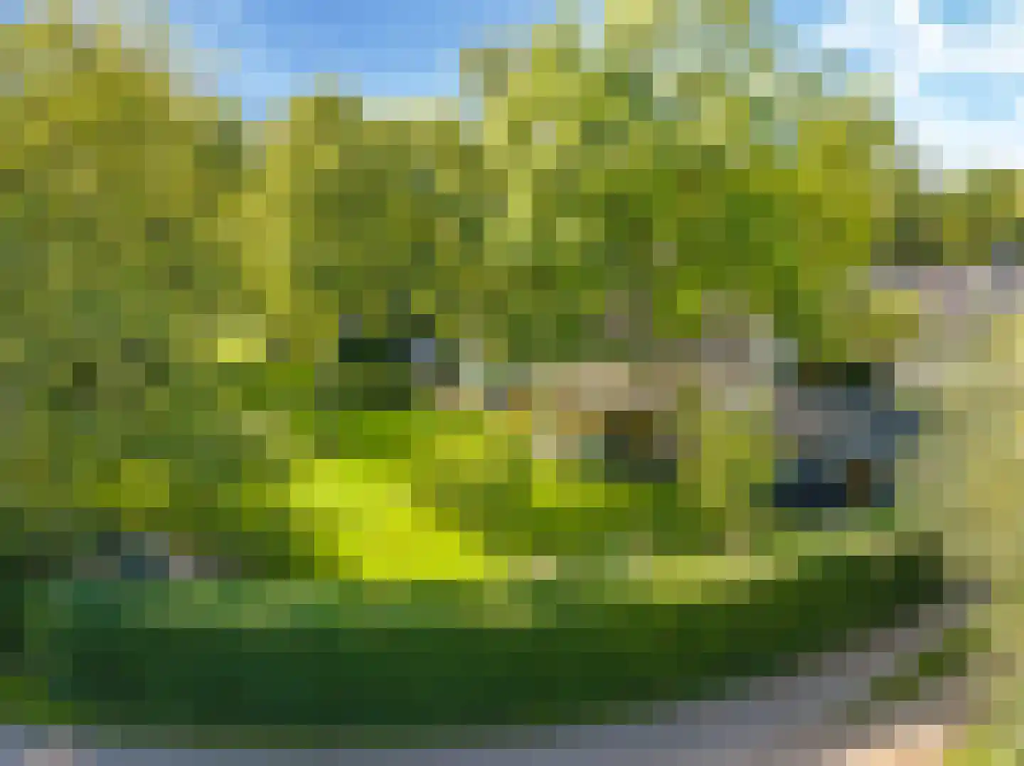 Drielse Rijndijk 3 Heteren thumbnail 121