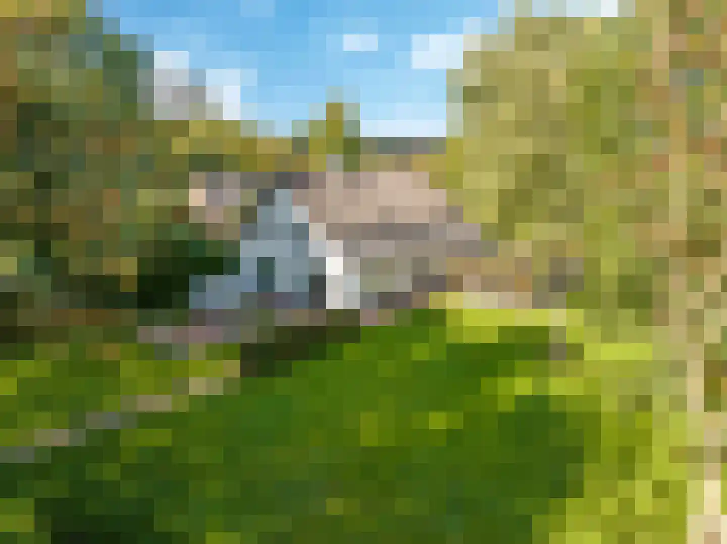Drielse Rijndijk 3 Heteren thumbnail 122