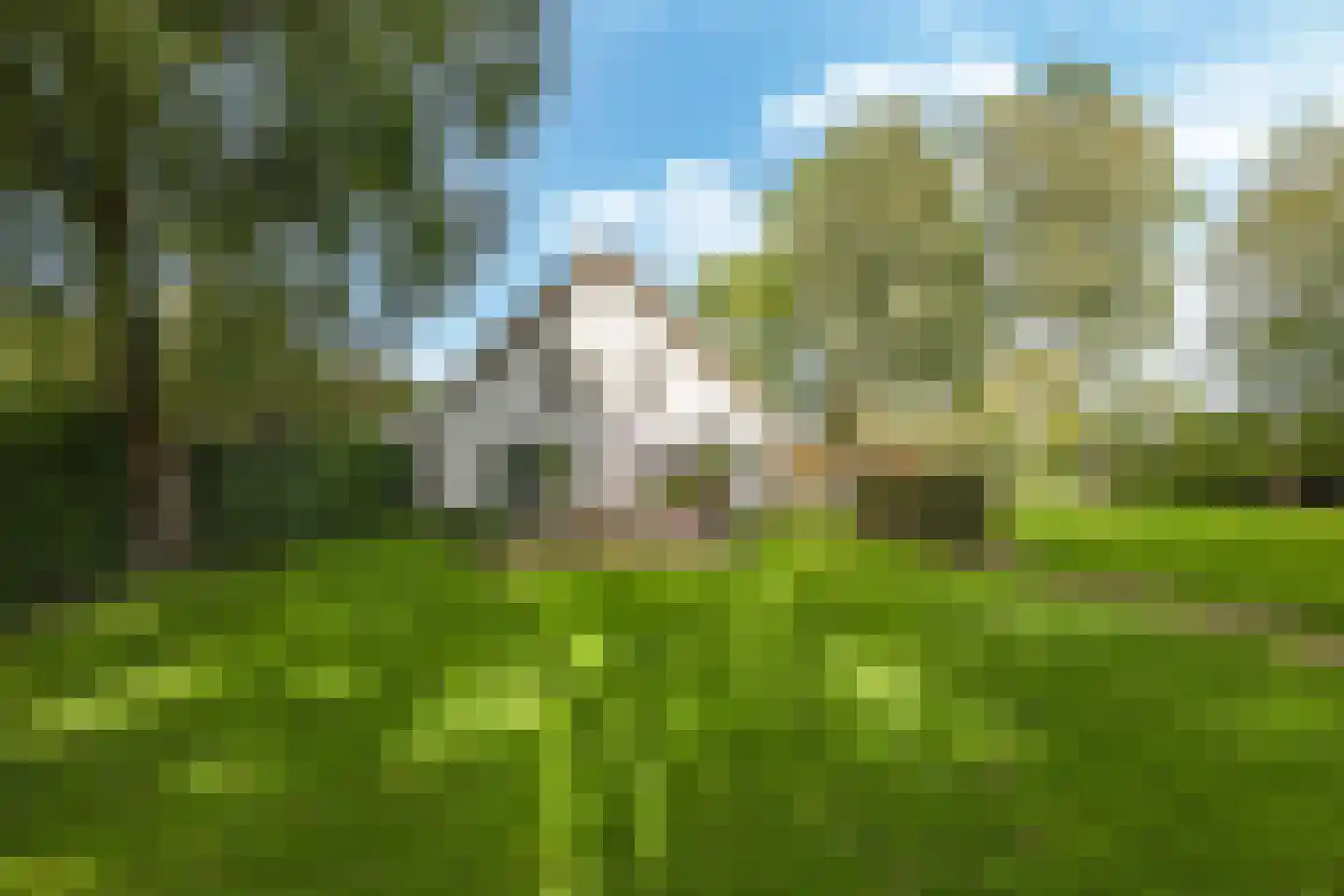 Drielse Rijndijk 3 Heteren thumbnail 123