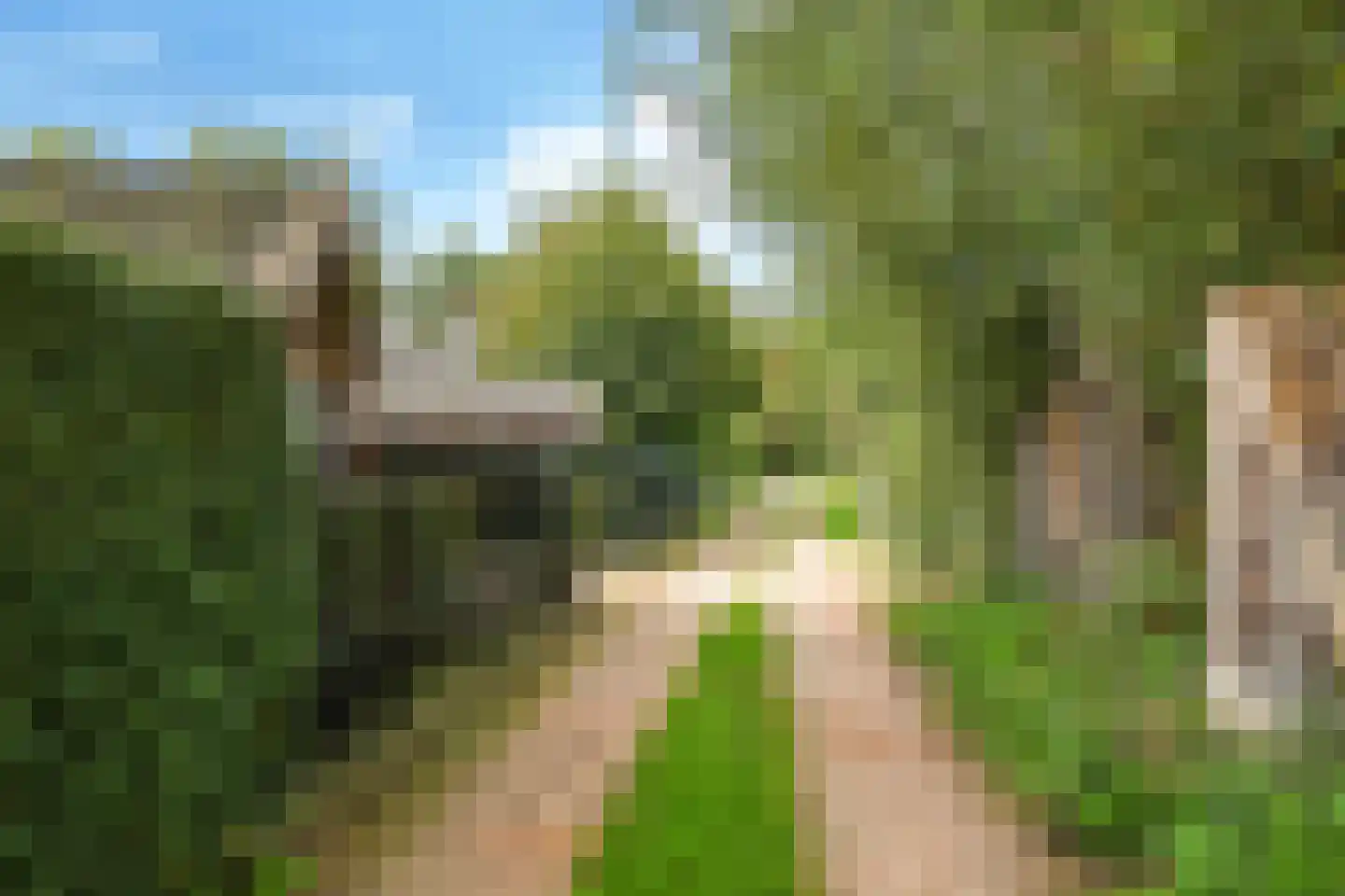 Drielse Rijndijk 3 Heteren thumbnail 127