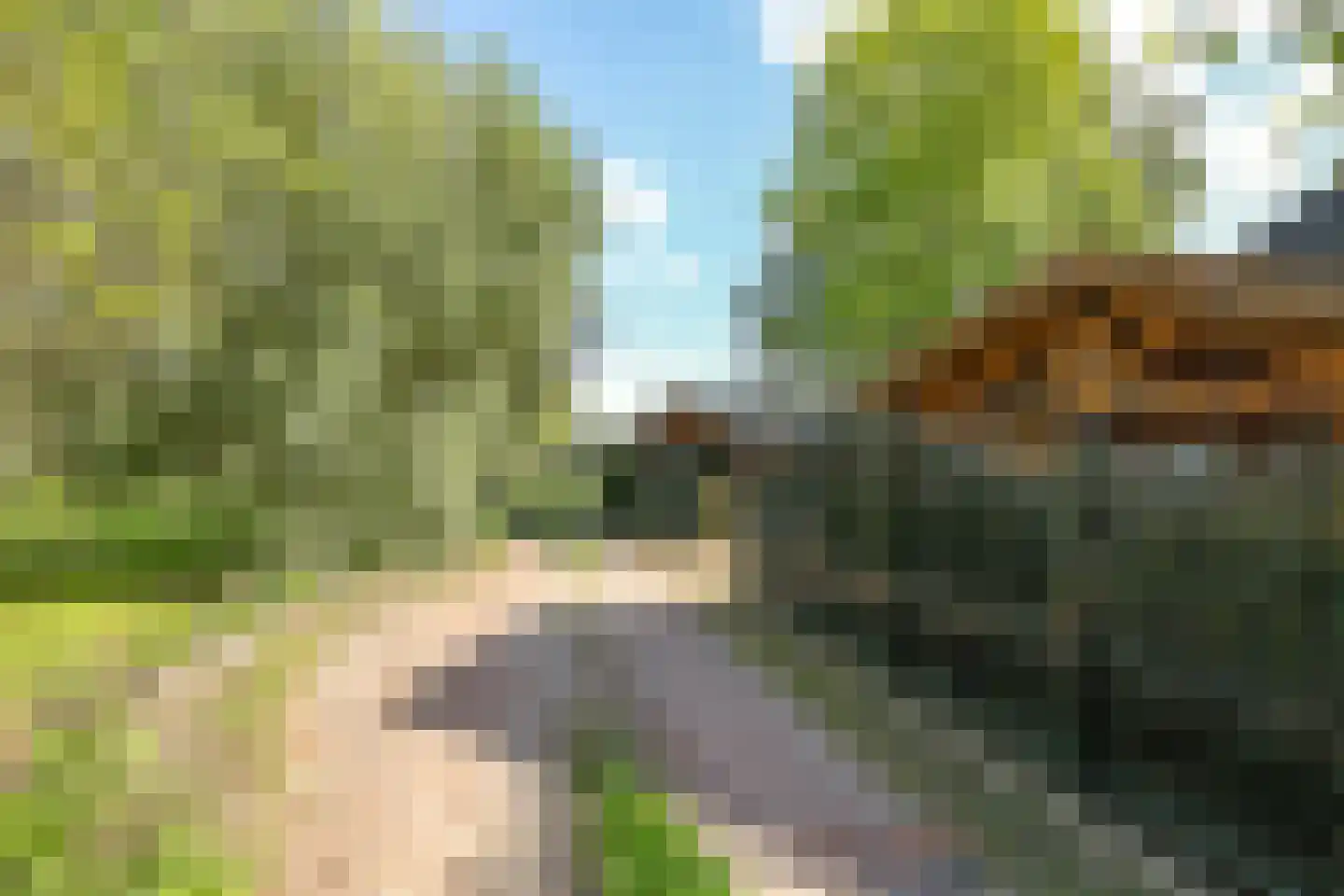 Drielse Rijndijk 3 Heteren thumbnail 128