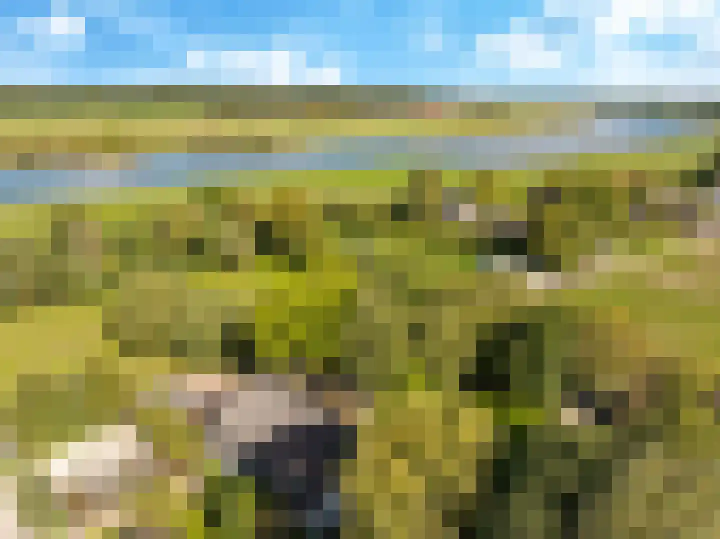 Drielse Rijndijk 3 Heteren thumbnail 129