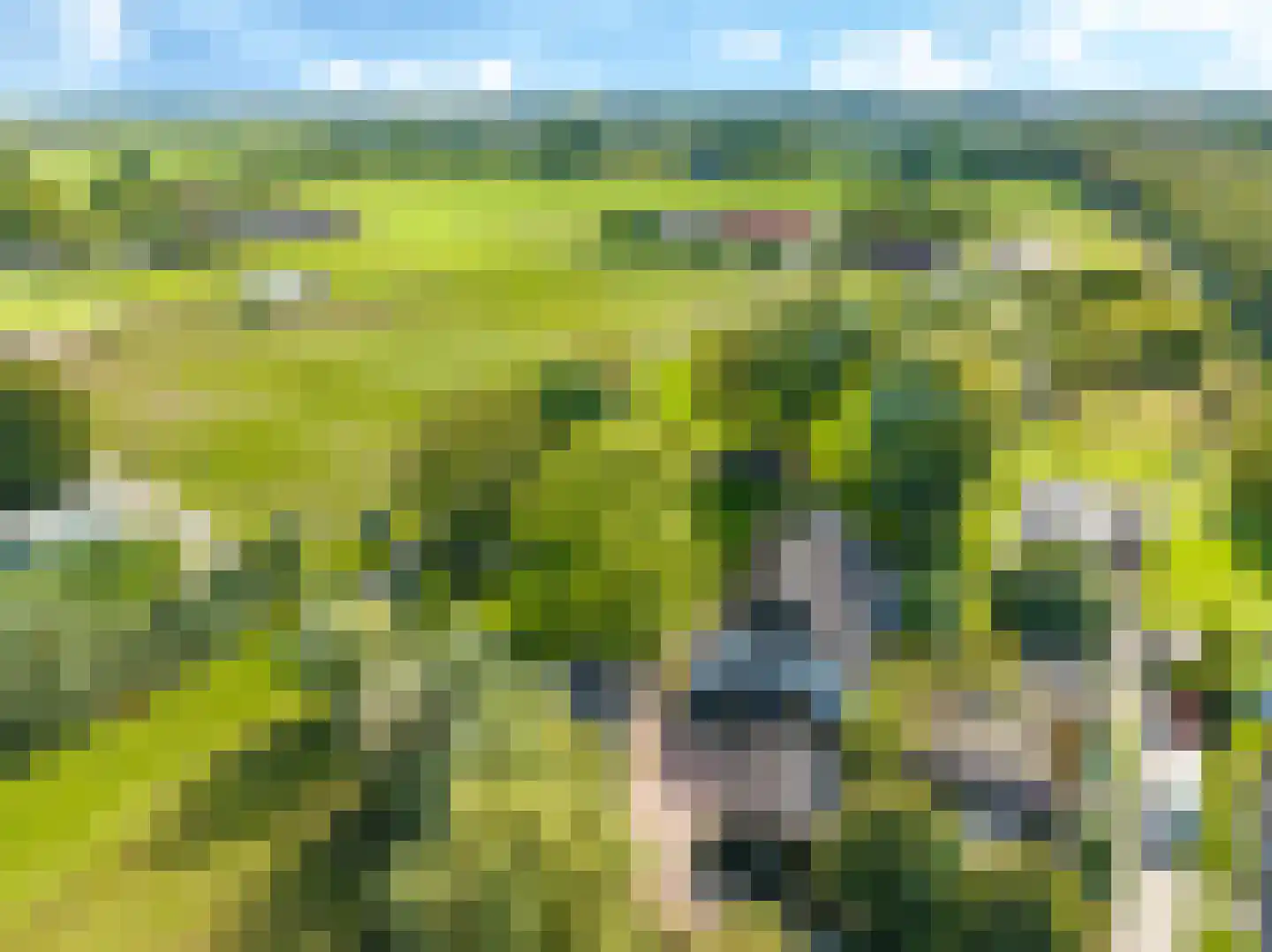 Drielse Rijndijk 3 Heteren thumbnail 130