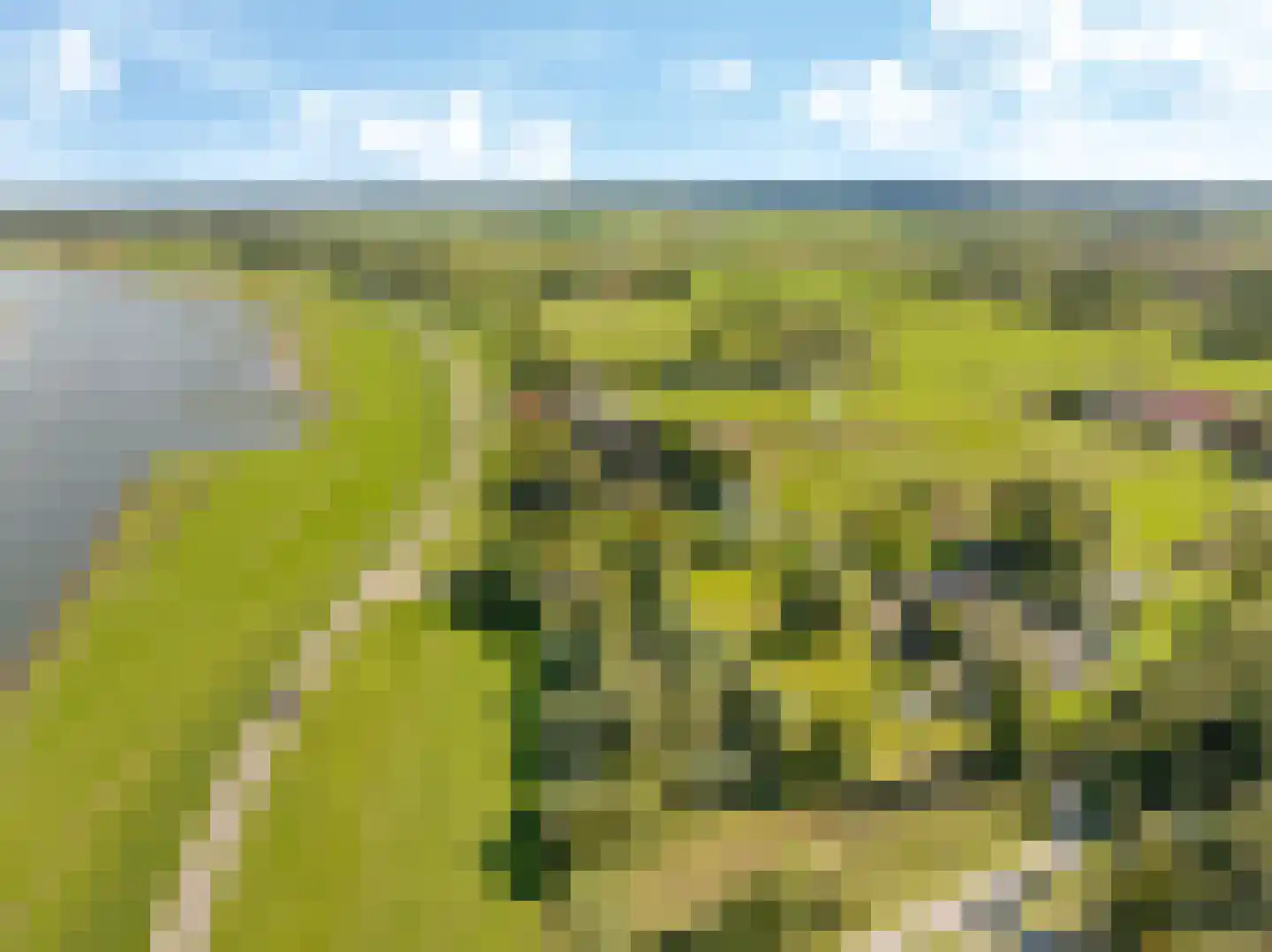 Drielse Rijndijk 3 Heteren thumbnail 131