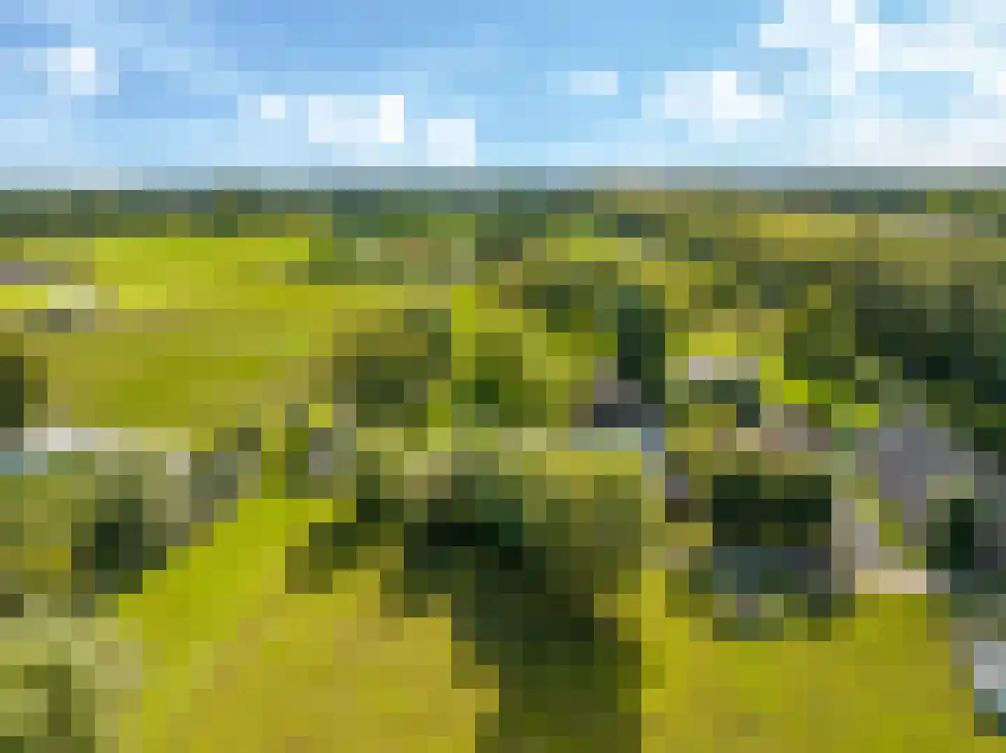 Drielse Rijndijk 3 Heteren thumbnail 132