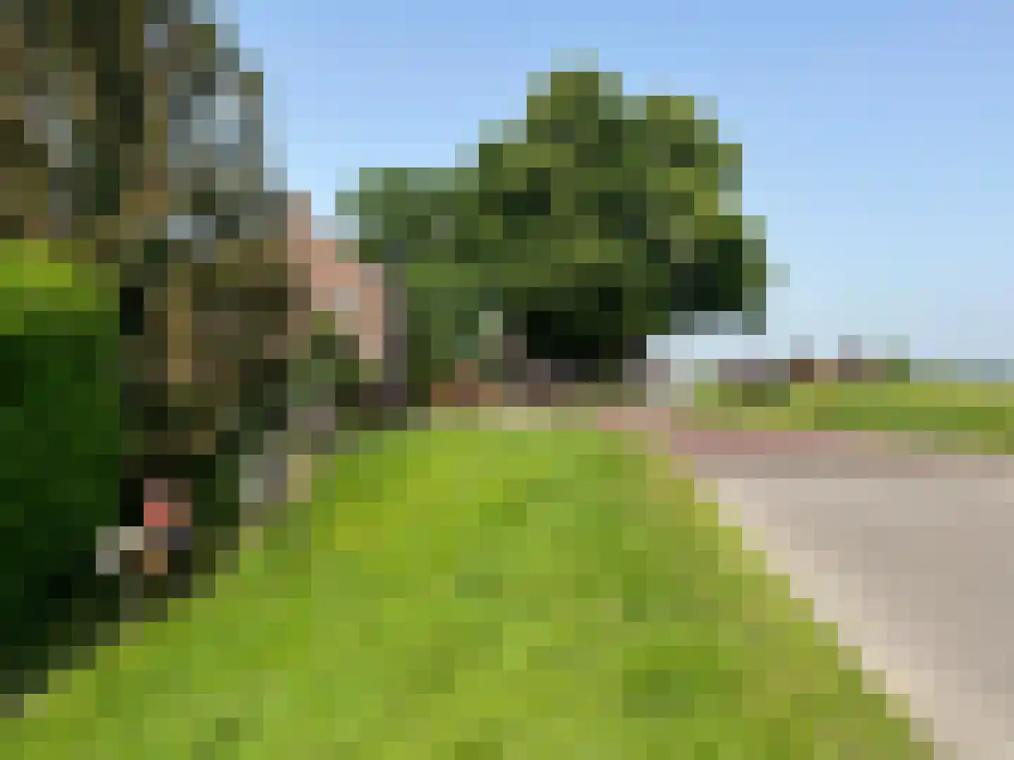 Drielse Rijndijk 3 Heteren thumbnail 135
