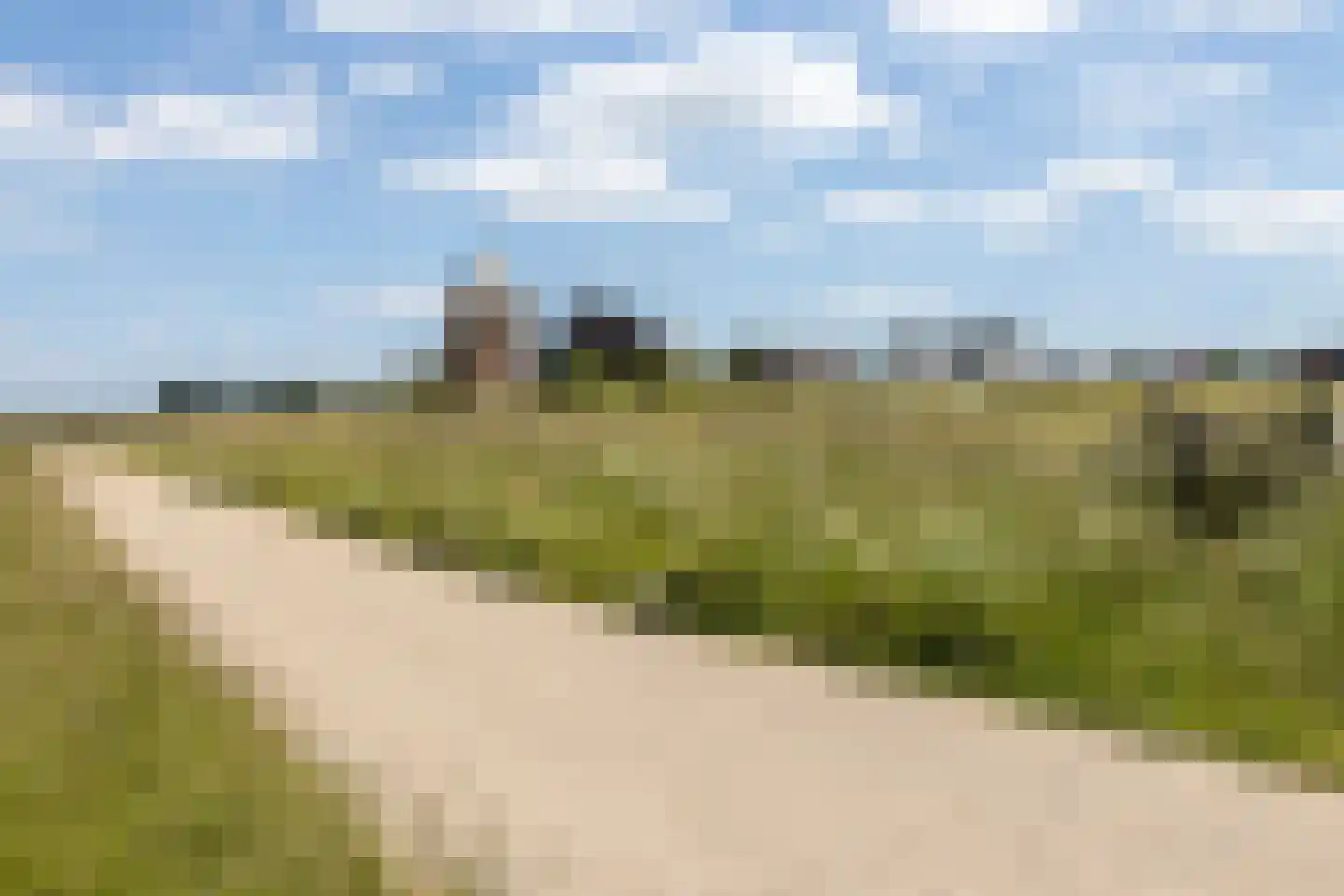 Drielse Rijndijk 3 Heteren thumbnail 136