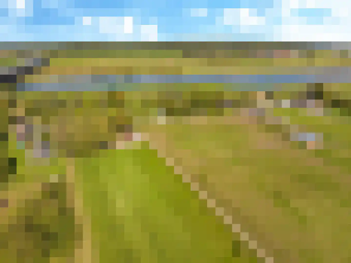Drielse Rijndijk 3 Heteren thumbnail 14