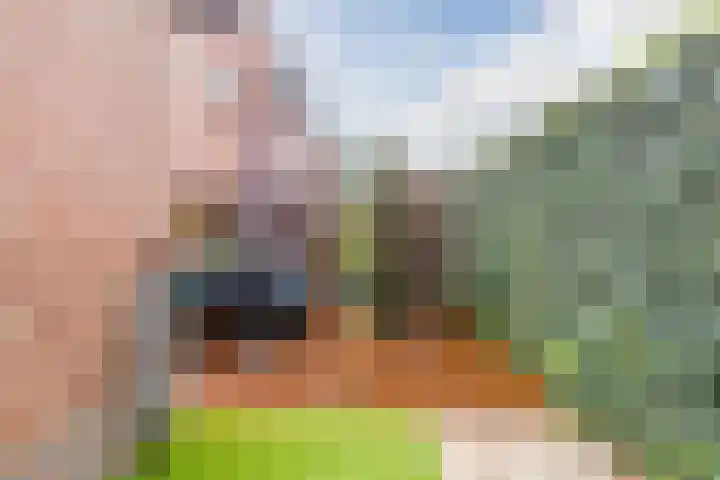 Drielse Rijndijk 3 Heteren thumbnail 21
