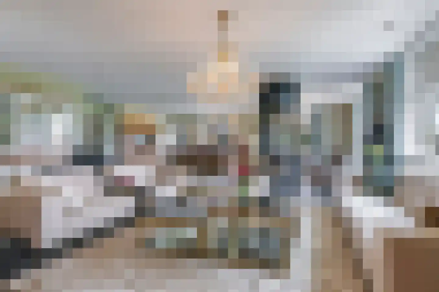 Drielse Rijndijk 3 Heteren thumbnail 25