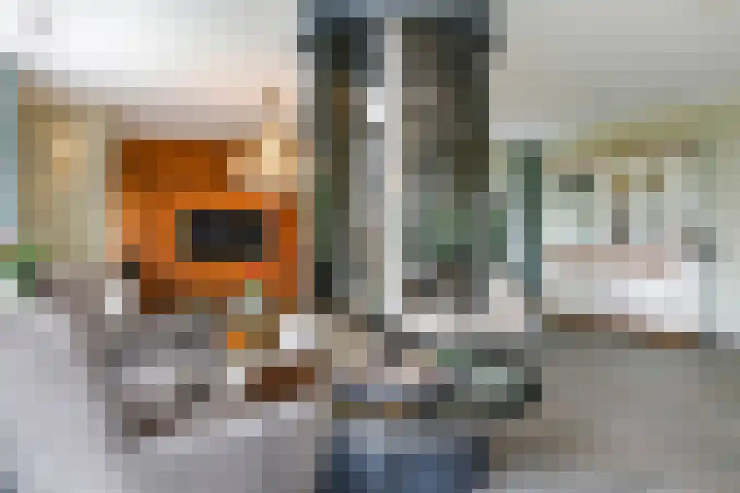 Drielse Rijndijk 3 Heteren thumbnail 31