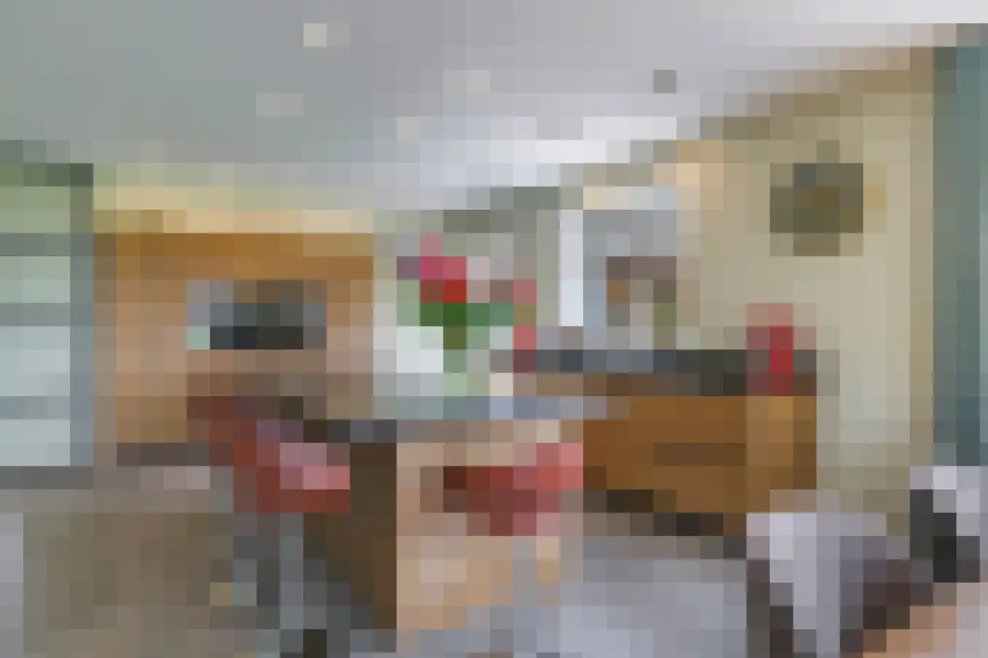 Drielse Rijndijk 3 Heteren thumbnail 34