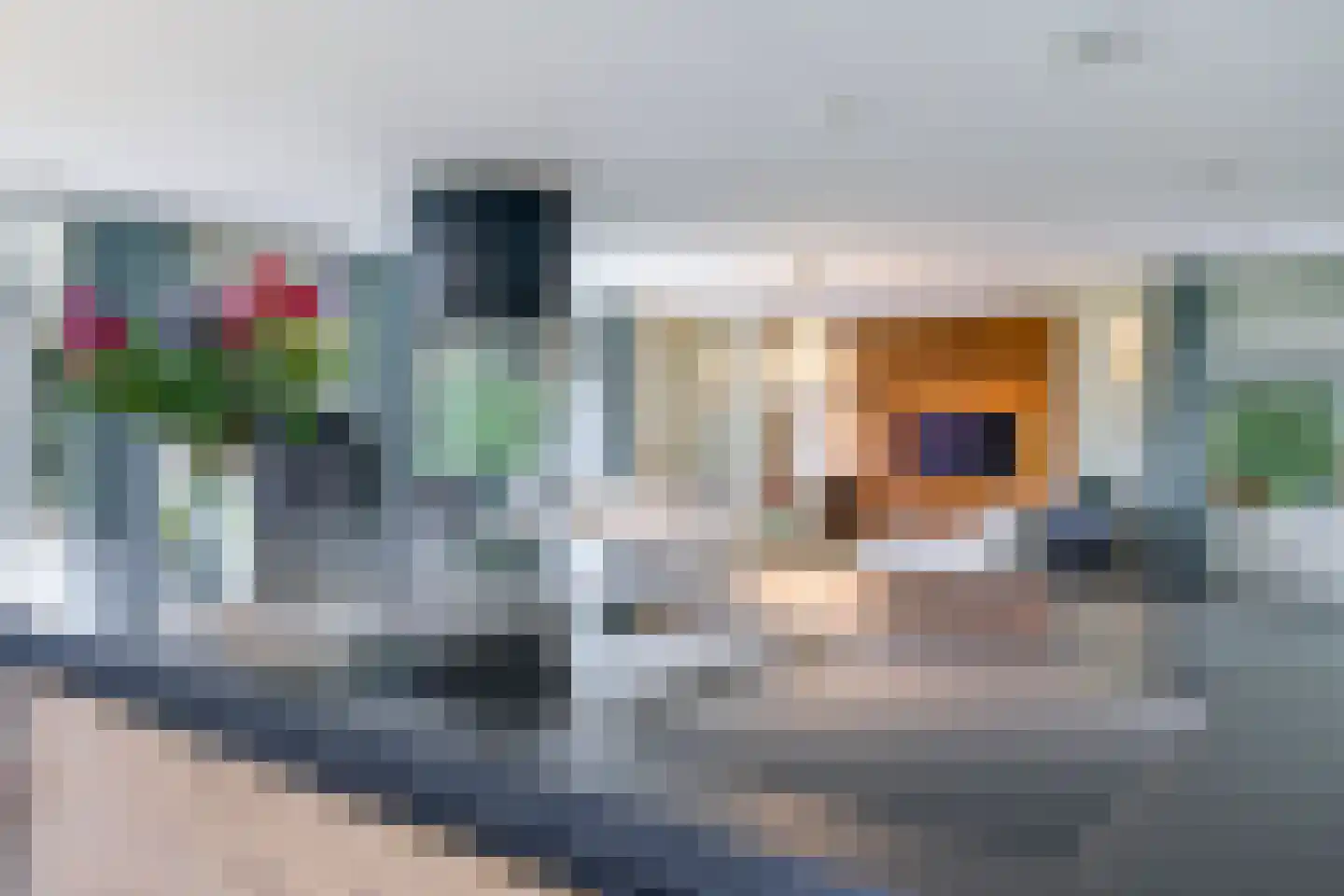 Drielse Rijndijk 3 Heteren thumbnail 38