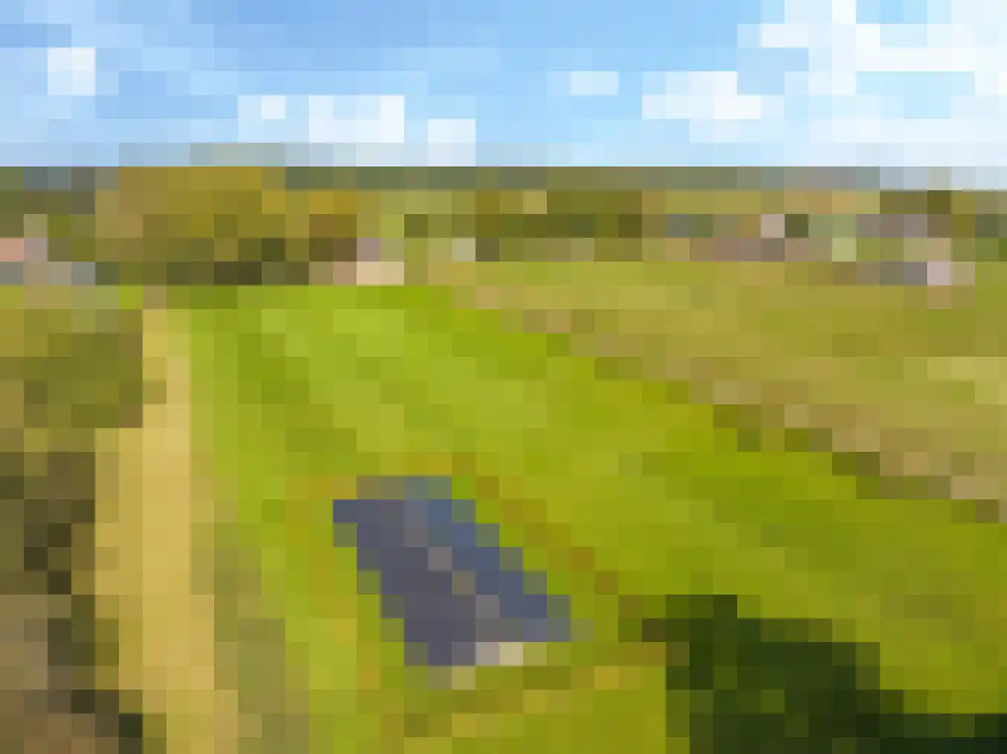 Drielse Rijndijk 3 Heteren thumbnail 4