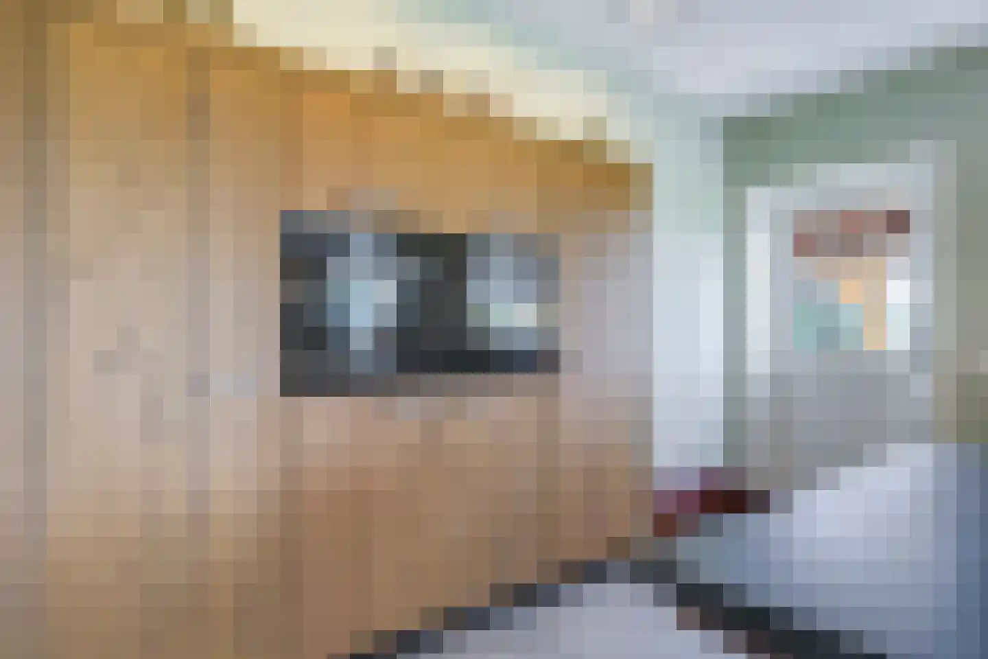 Drielse Rijndijk 3 Heteren thumbnail 41
